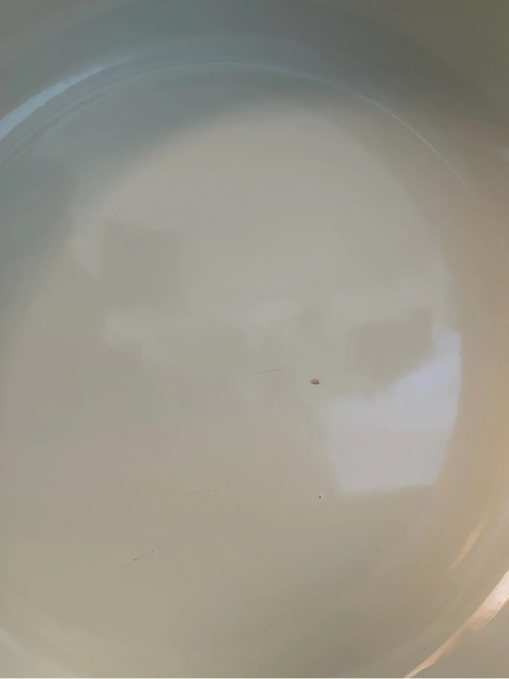 Tabletops Unlimited KENSINGTON GARDEN Enamel Casserole Sauce Pan 10” Cottagecore